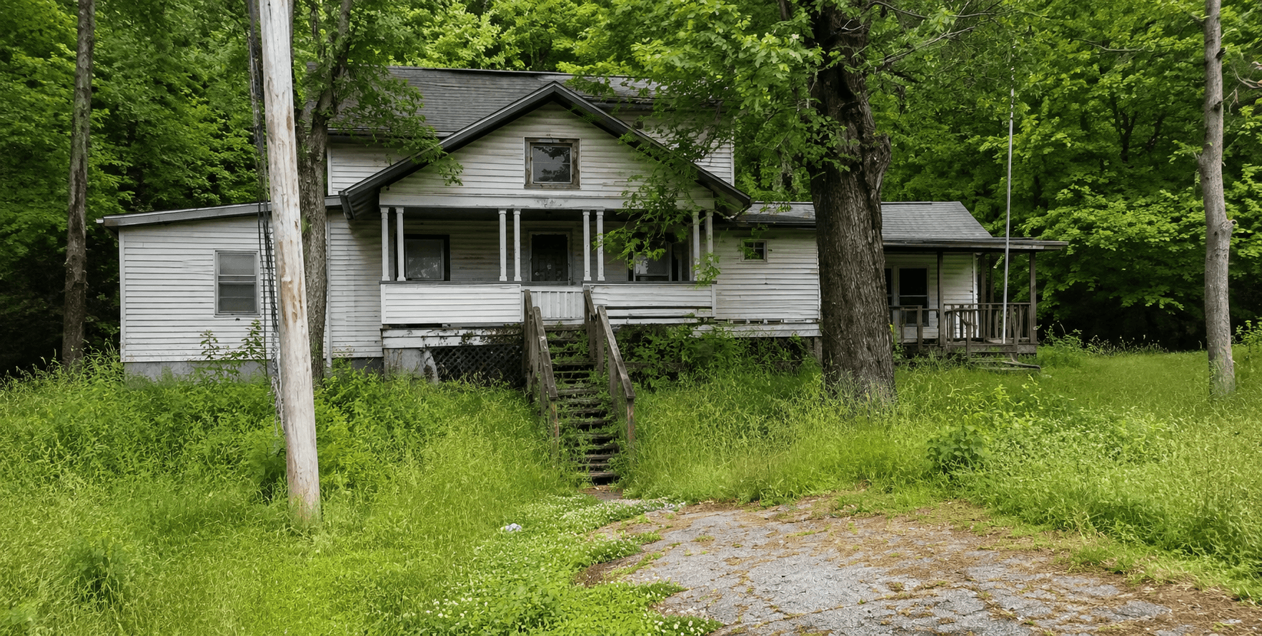 Before professional lawn care
