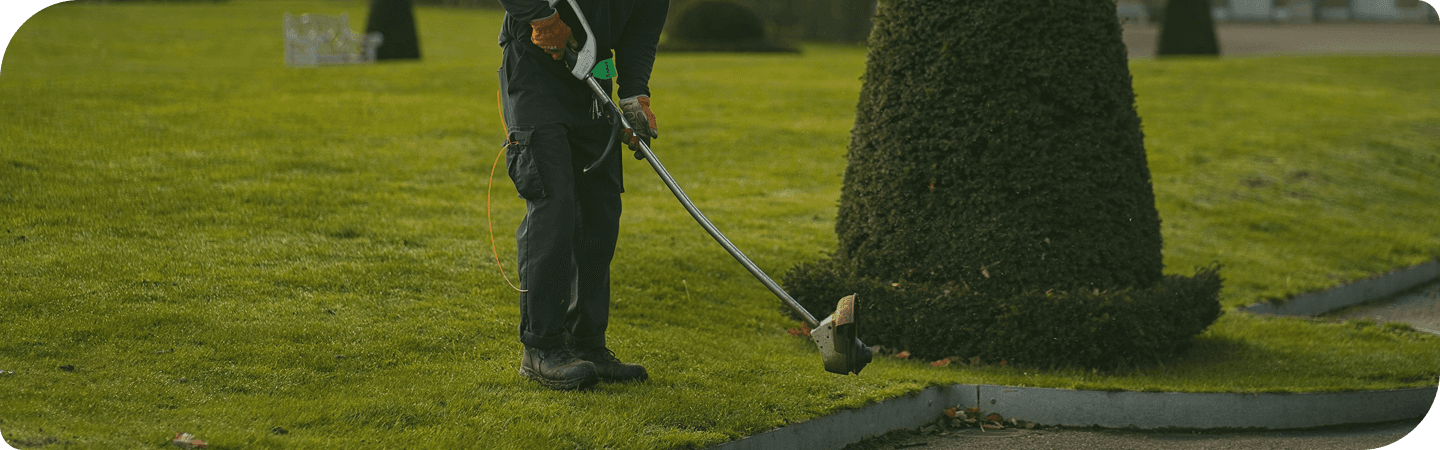 Professional mowing a lawn