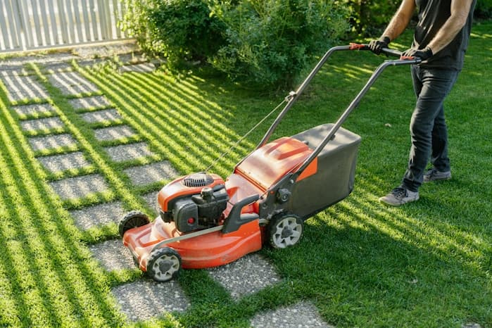 Lawn mower on freshly cut lawn